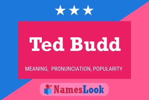 Poster del nome Ted Budd