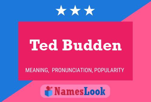 Poster del nome Ted Budden