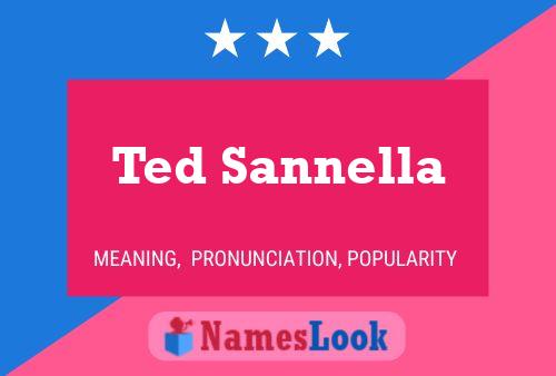 Poster del nome Ted Sannella