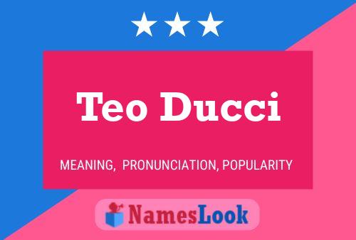 Poster del nome Teo Ducci