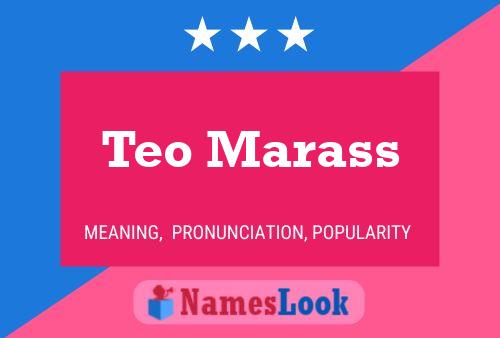 Poster del nome Teo Marass