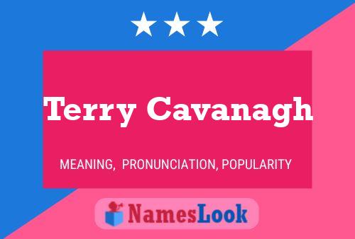 Poster del nome Terry Cavanagh