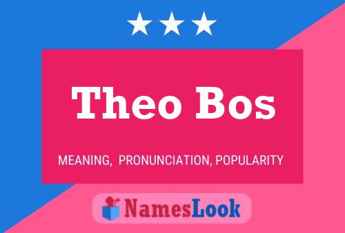 Poster del nome Theo Bos