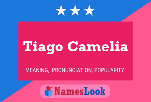 Poster del nome Tiago Camelia