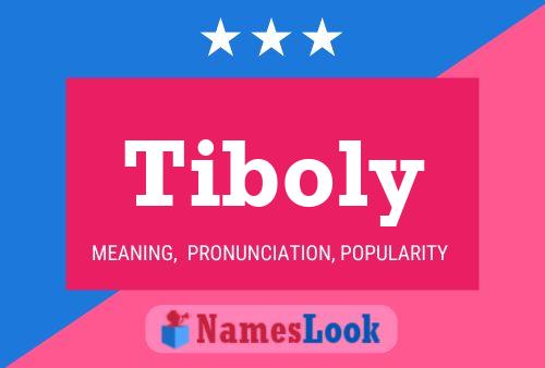 Poster del nome Tiboly