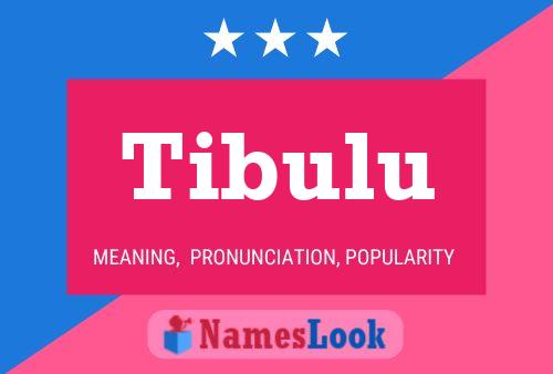 Poster del nome Tibulu