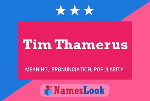 Poster del nome Tim Thamerus