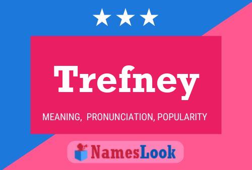 Poster del nome Trefney