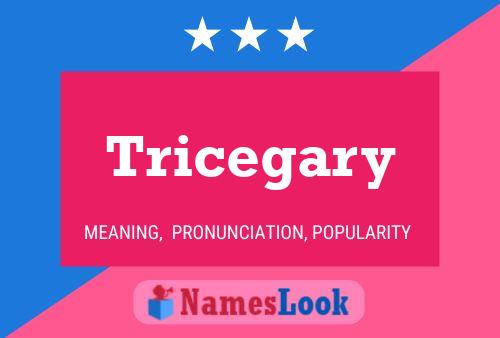 Poster del nome Tricegary