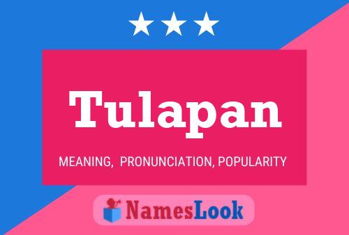 Poster del nome Tulapan