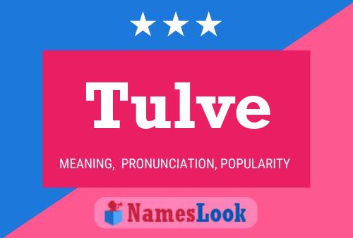 Poster del nome Tulve