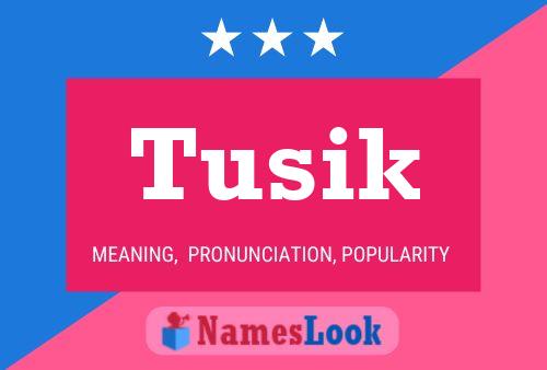 Poster del nome Tusik