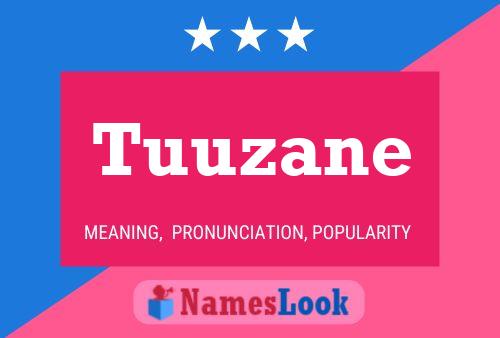 Poster del nome Tuuzane