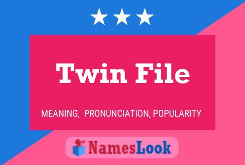 Poster del nome Twin File