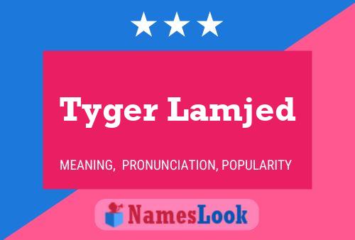 Poster del nome Tyger Lamjed