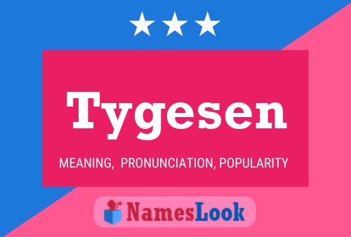 Poster del nome Tygesen