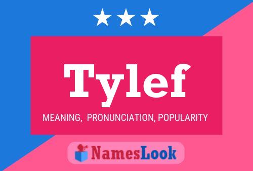 Poster del nome Tylef