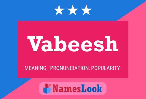 Poster del nome Vabeesh