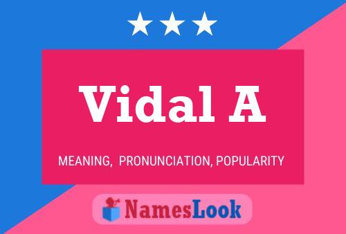 Poster del nome Vidal A