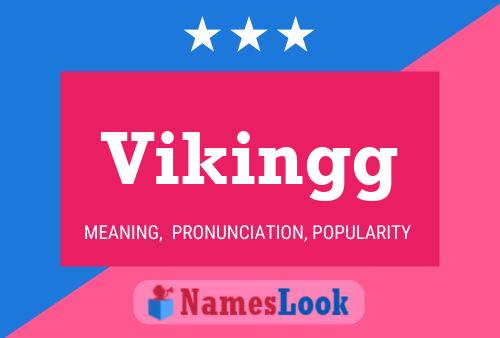 Poster del nome Vikingg