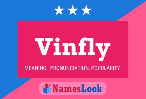 Poster del nome Vinfly