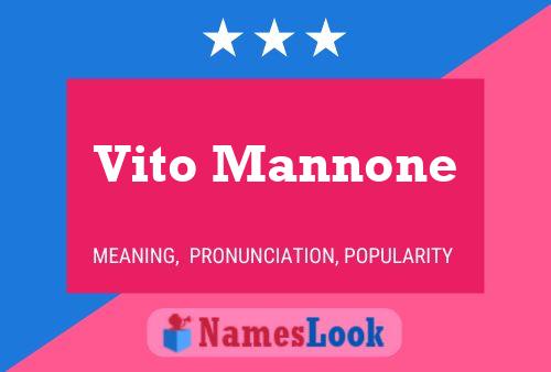 Poster del nome Vito Mannone