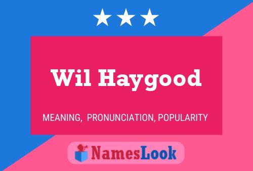 Poster del nome Wil Haygood