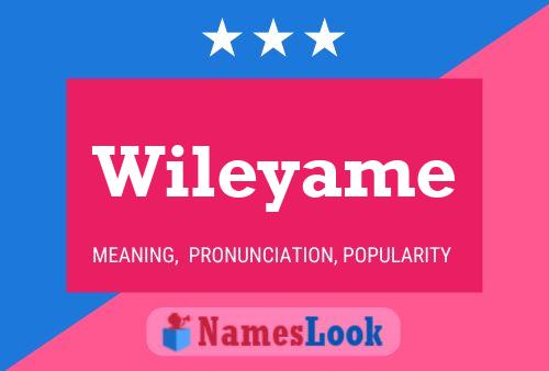 Poster del nome Wileyame