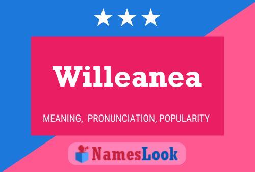 Poster del nome Willeanea