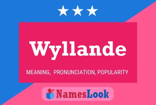 Poster del nome Wyllande