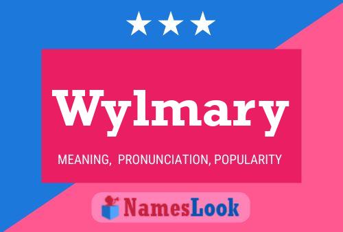 Poster del nome Wylmary