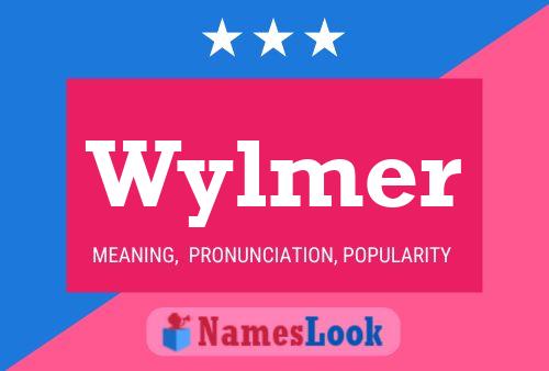 Poster del nome Wylmer