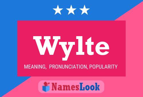 Poster del nome Wylte