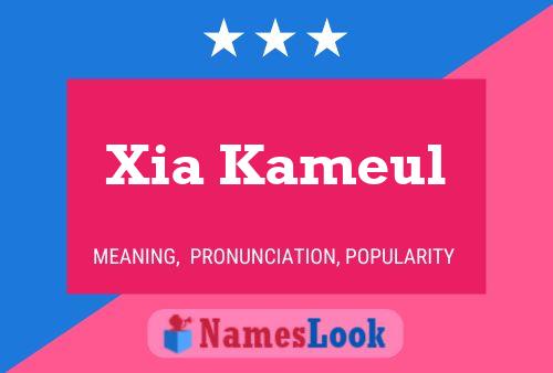 Poster del nome Xia Kameul