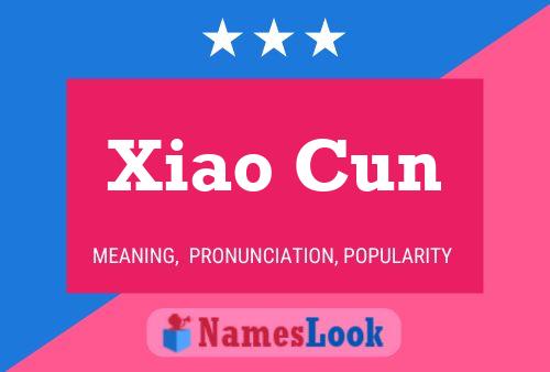 Poster del nome Xiao Cun