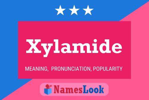 Poster del nome Xylamide