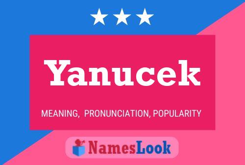 Poster del nome Yanucek