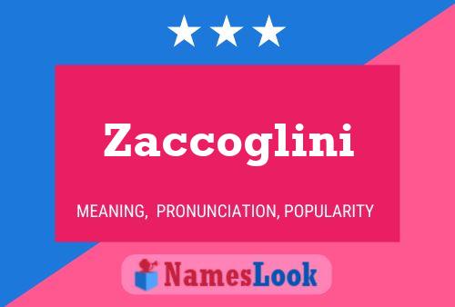 Poster del nome Zaccoglini