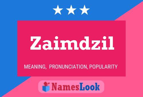 Poster del nome Zaimdzil