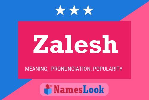 Poster del nome Zalesh