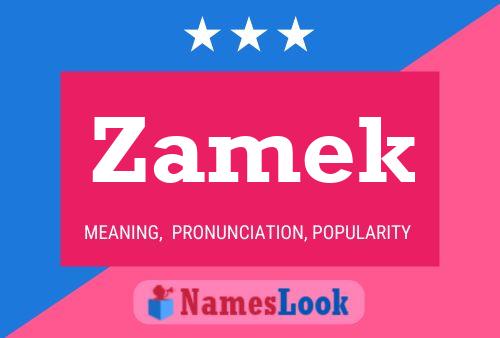 Poster del nome Zamek