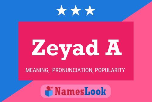 Poster del nome Zeyad A