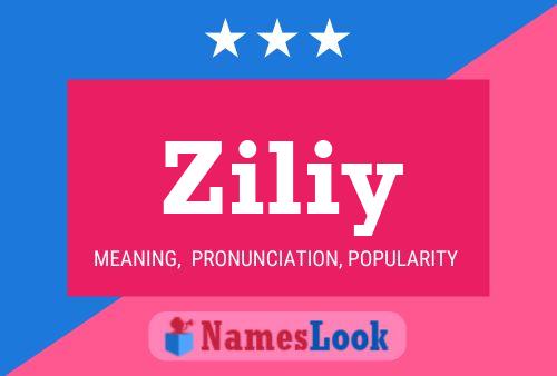 Poster del nome Ziliy