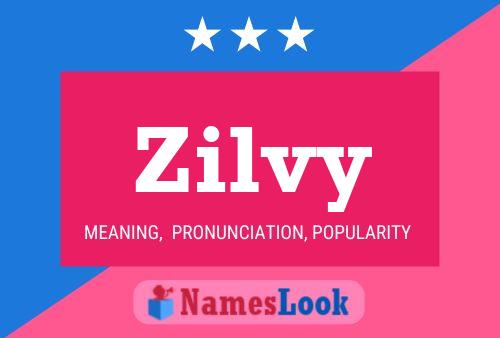 Poster del nome Zilvy