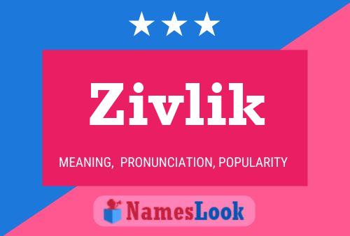 Poster del nome Zivlik