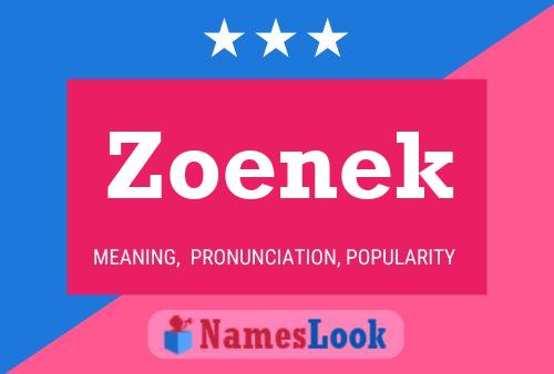 Poster del nome Zoenek