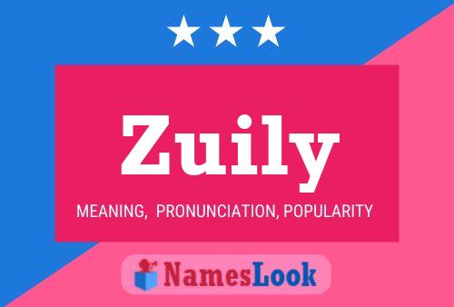 Poster del nome Zuily