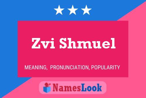 Poster del nome Zvi Shmuel