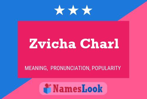 Poster del nome Zvicha Charl