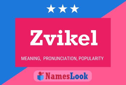 Poster del nome Zvikel